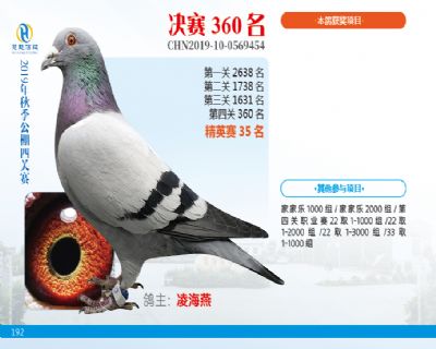威力慧能决赛360名