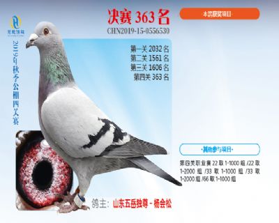 威力慧能决赛363名