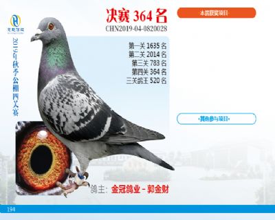 威力慧能决赛364名
