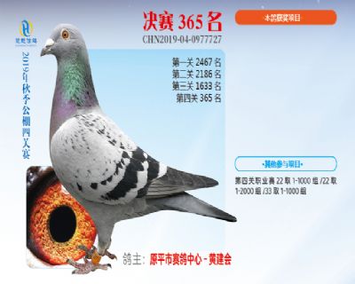 威力慧能决赛365名