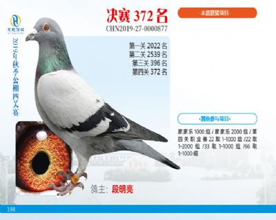 威力慧能决赛372名