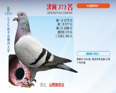 威力慧能决赛373名