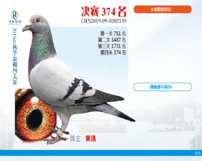 威力慧能决赛374名