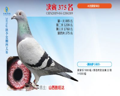 威力慧能决赛375名