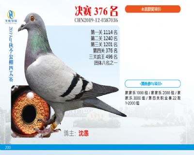 威力慧能决赛376名