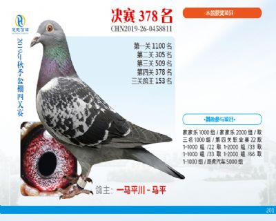 威力慧能决赛378名