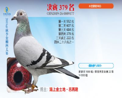 威力慧能决赛379名
