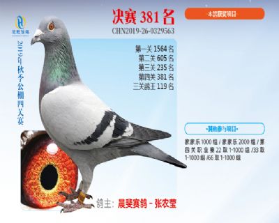 威力慧能决赛381名