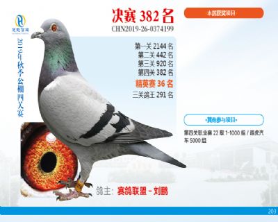 威力慧能决赛382名