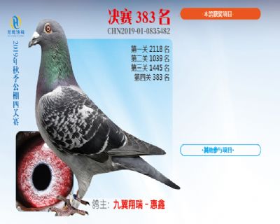 威力慧能决赛383名