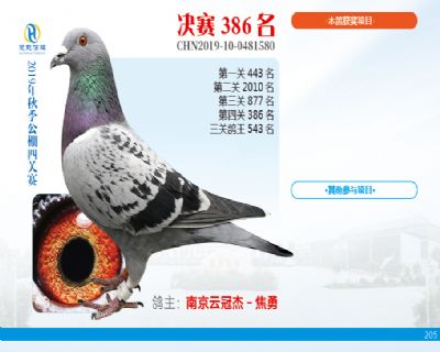 威力慧能决赛386名