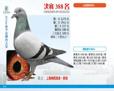 威力慧能决赛388名