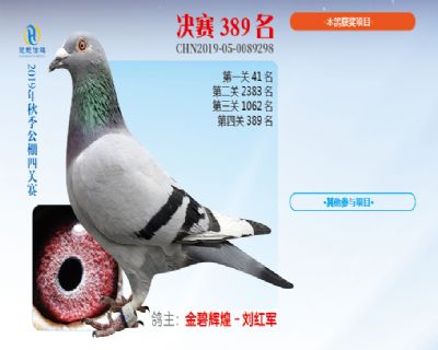 威力慧能决赛389名