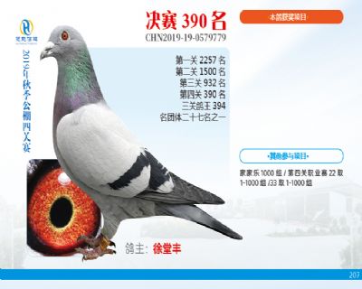 威力慧能决赛390名
