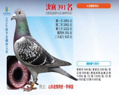 威力慧能决赛391名