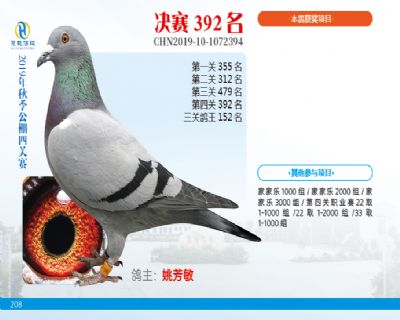 威力慧能决赛392名