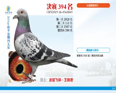 威力慧能决赛394名