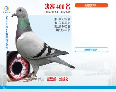 威力慧能决赛400名