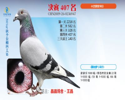 威力慧能决赛407名