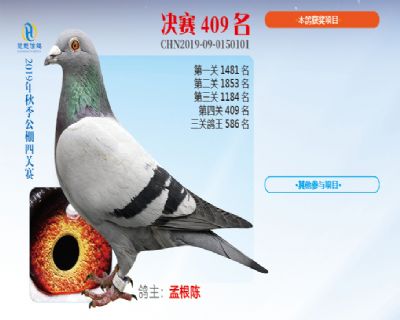 威力慧能决赛409名