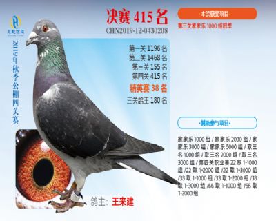 威力慧能决赛415名