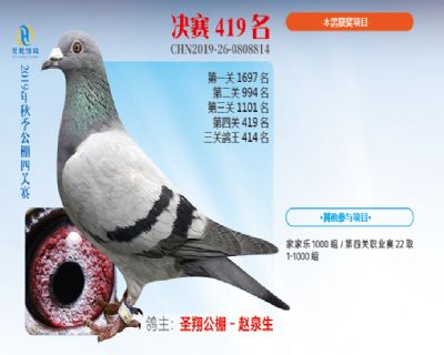 威力慧能决赛419名