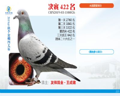 威力慧能决赛422名