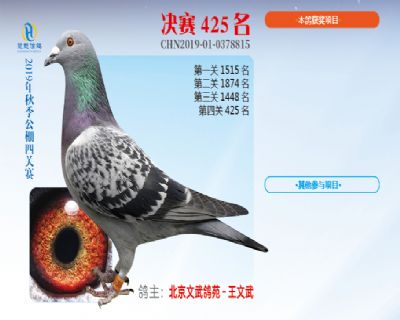 威力慧能决赛425名