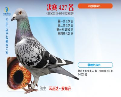 威力慧能决赛427名