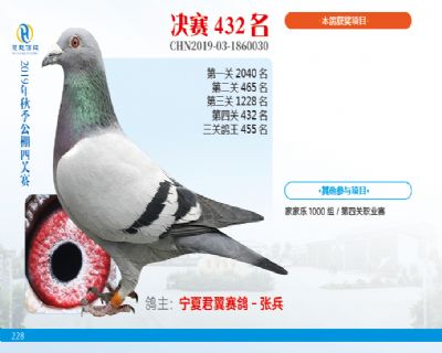 威力慧能决赛432名