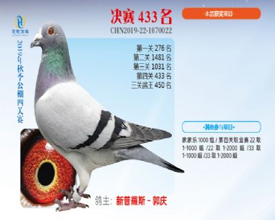威力慧能决赛433名
