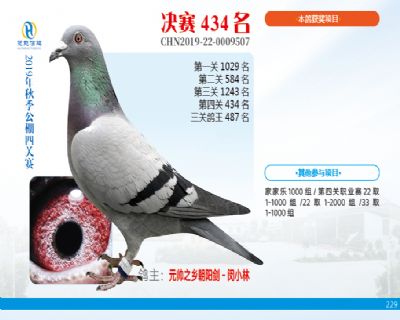 威力慧能决赛434名