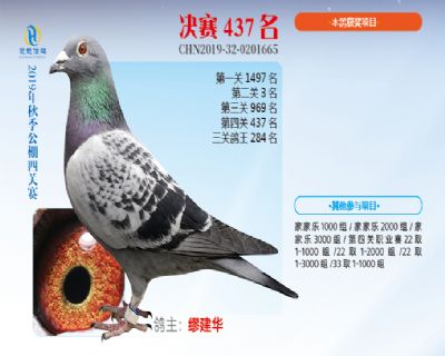 威力慧能决赛437名