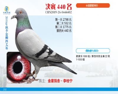 威力慧能决赛440名