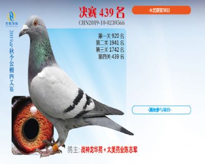 威力慧能决赛439名