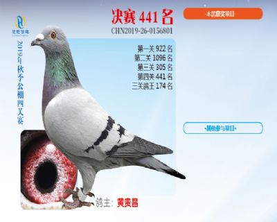 威力慧能决赛441名