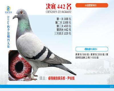 威力慧能决赛442名