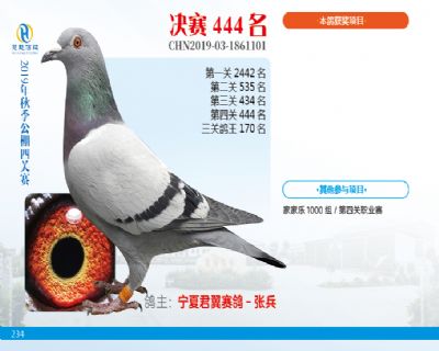 威力慧能决赛444名