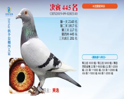 威力慧能决赛445名