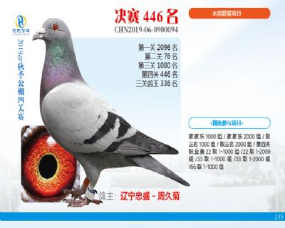 威力慧能决赛446名