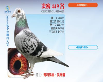 威力慧能决赛449名