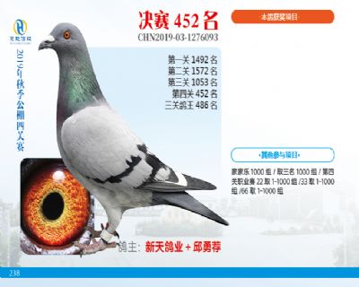 威力慧能决赛452名