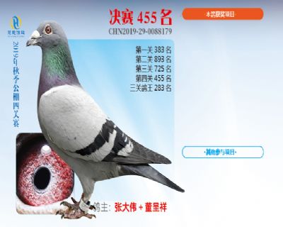 威力慧能决赛455名