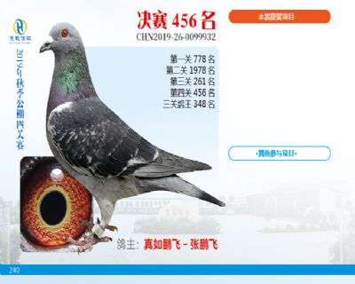 威力慧能决赛456名