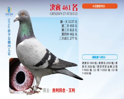 威力慧能决赛461名