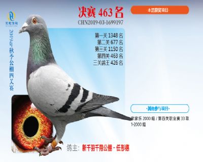 威力慧能决赛463名