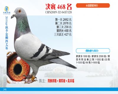 威力慧能决赛468名