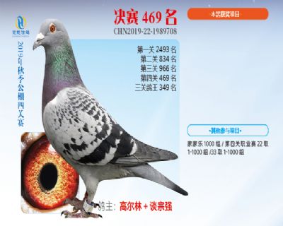 威力慧能决赛469名