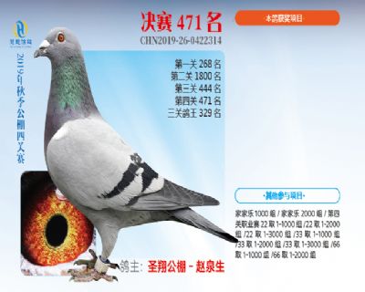 威力慧能决赛471名