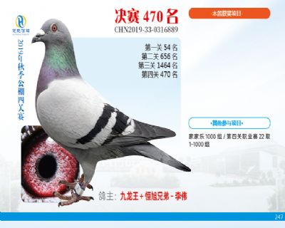 威力慧能决赛470名